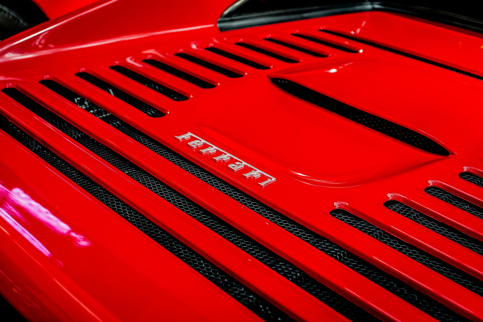 Exterior Detailing — The Detail Dawg